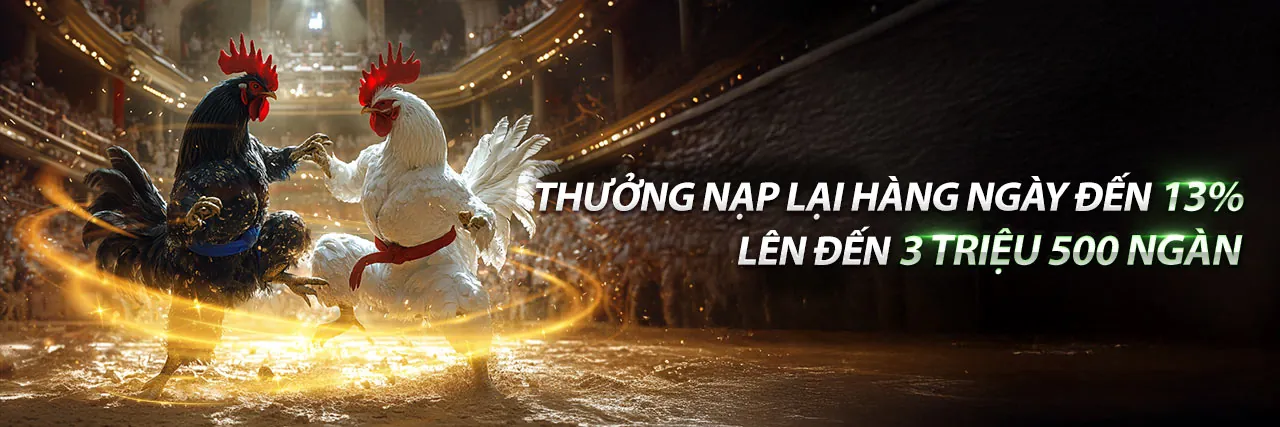Đá gà trực tuyến sôi động tại BI88